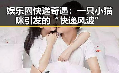娱乐圈快递奇遇：一只小猫咪引发的“快递风波”