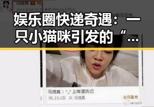 娱乐圈快递奇遇：一只小猫咪引发的“快递风波”