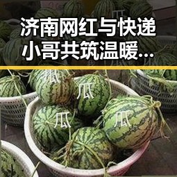 济南网红与快递小哥共筑温暖瞬间，平凡中闪耀人性光辉