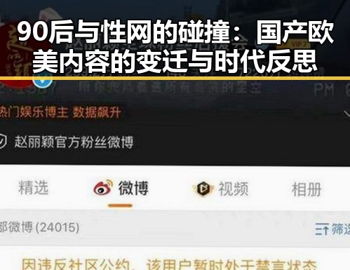 90后与性网的碰撞：国产欧美内容的变迁与时代反思
