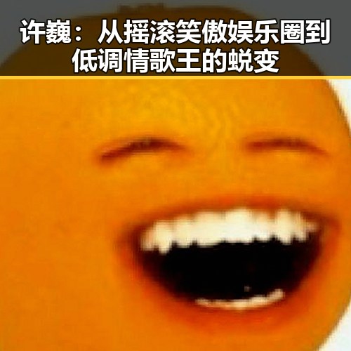 许巍：从摇滚笑傲娱乐圈到低调情歌王的蜕变